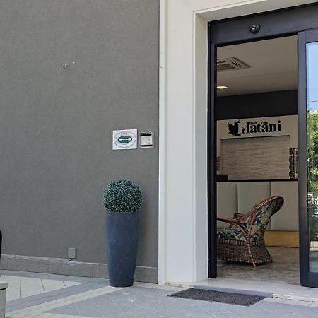 ריצ'יונה Hotel Villa Platani מראה חיצוני תמונה
